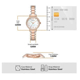 Emporio Armani Cleo Mother of Pearl Dial Two Tone Steel Strap Watch For Women - AR11499