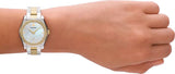 Emporio Armani Federica Mother of Pearl Dial Two Tone Steel Strap Watch for Women - AR11559